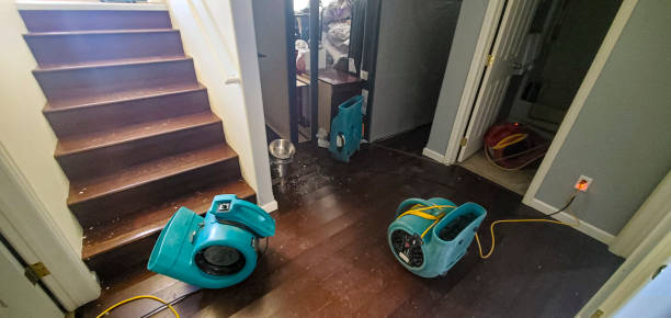Best Flood damage cleanup  in Marion, VA