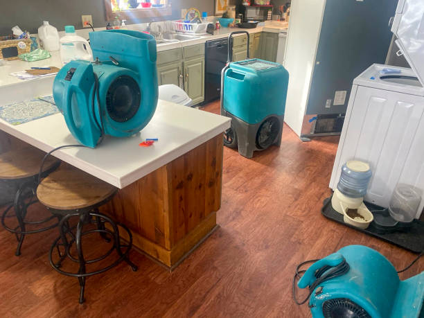 Best 24-hour water damage restoration  in Marion, VA