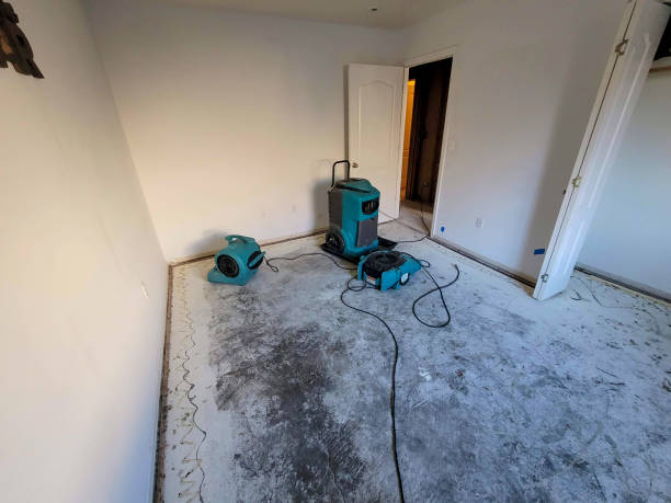 Best Fire Damage Restoration  in Marion, VA