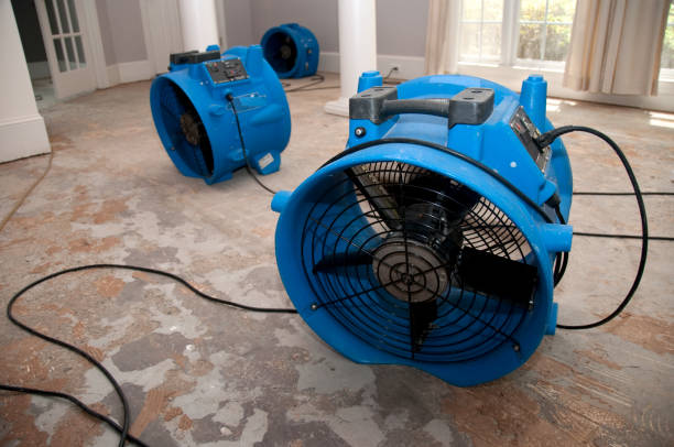 Best Water damage contractors near me  in Marion, VA