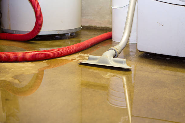 Best Water damage restoration specialists  in Marion, VA