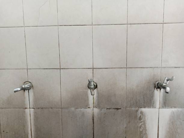 Best Water damage restoration near me  in Marion, VA