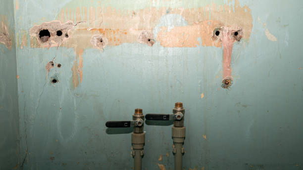 Best Water damage cleanup near me  in Marion, VA
