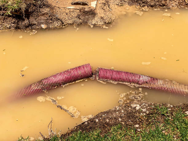Best Professional water damage repair  in Marion, VA