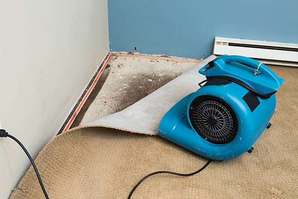 Best Water damage restoration insurance claims  in Marion, VA